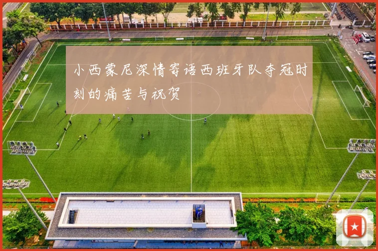 小西蒙尼深情寄语西班牙队夺冠时刻的痛苦与祝贺