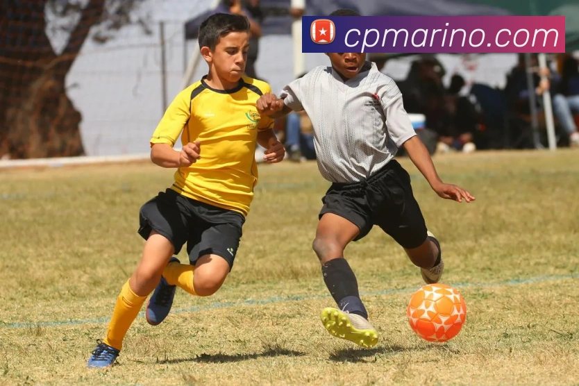 电竞直播专区